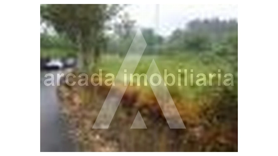 Terreno para Venda em Requeixo, Nossa Senhora de Fátima e Nariz Foto 3