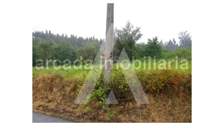 Terreno para Venda em Requeixo, Nossa Senhora de Fátima e Nariz Foto 4