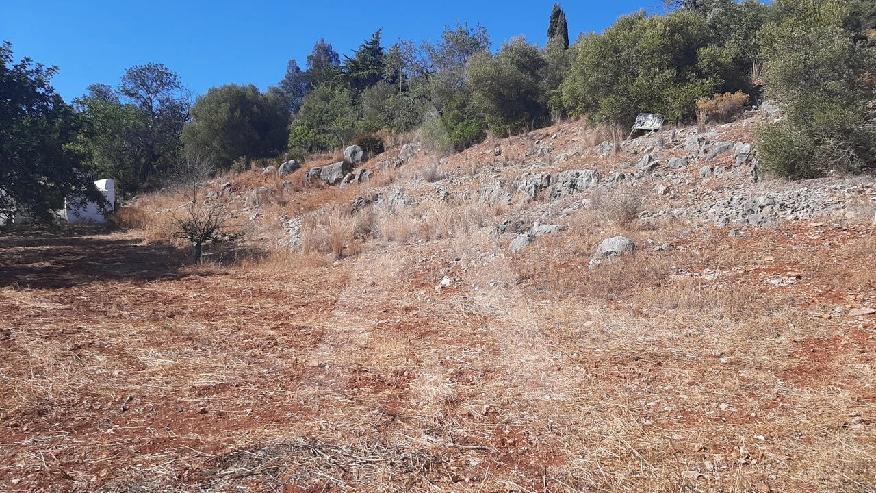 Terreno Misto para Venda em Santa Barbara de Nexe Foto 5