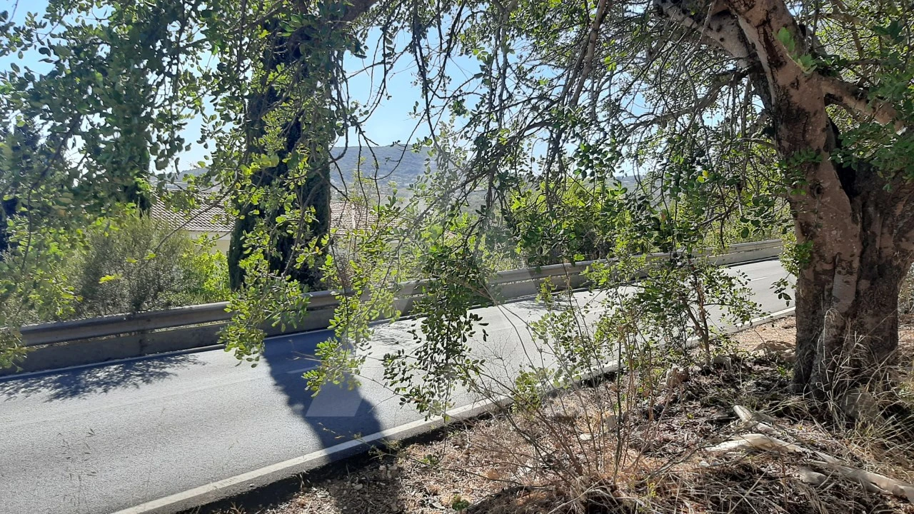Terreno Misto para Venda em Santa Barbara de Nexe Foto 4