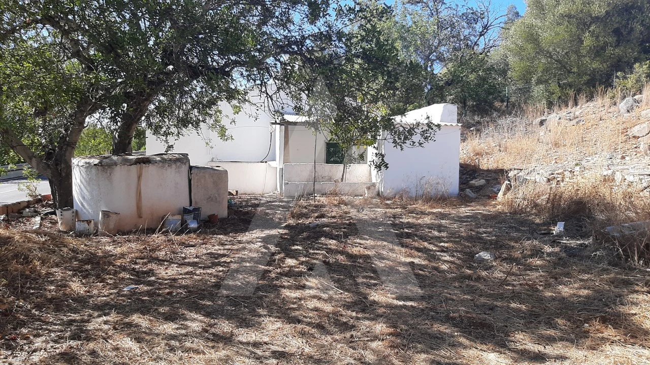 Terreno Misto para Venda em Santa Barbara de Nexe Foto 3