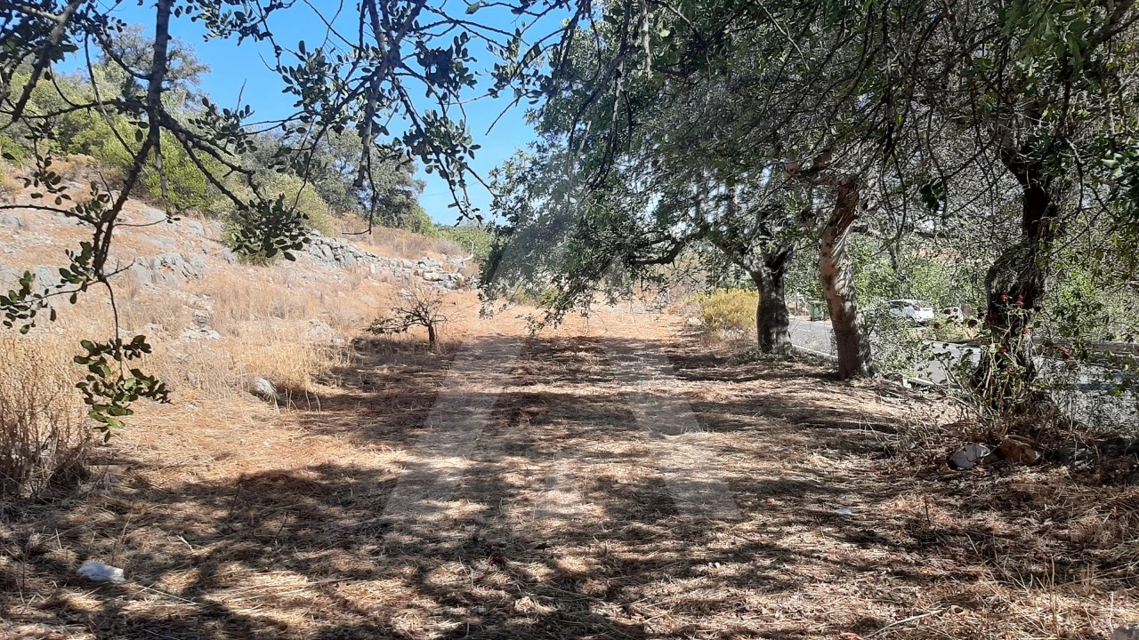 Terreno Misto para Venda em Santa Barbara de Nexe Foto 7
