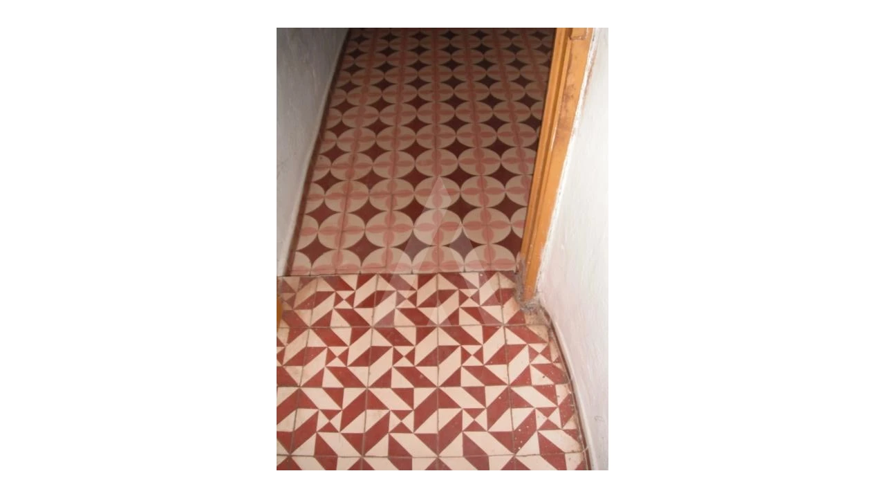 Terreno Misto para Venda em Santa Barbara de Nexe Foto 10