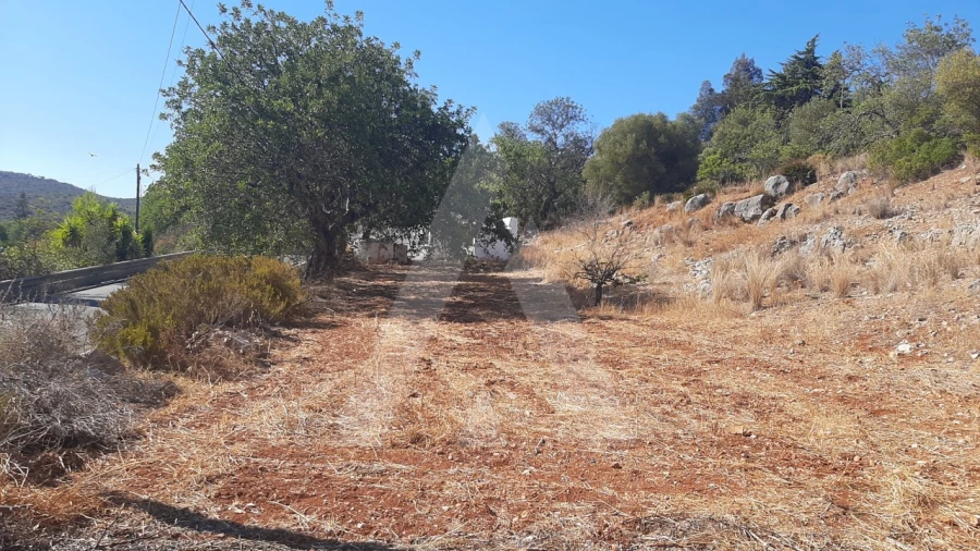 Terreno Misto para Venda em Santa Barbara de Nexe Foto 6