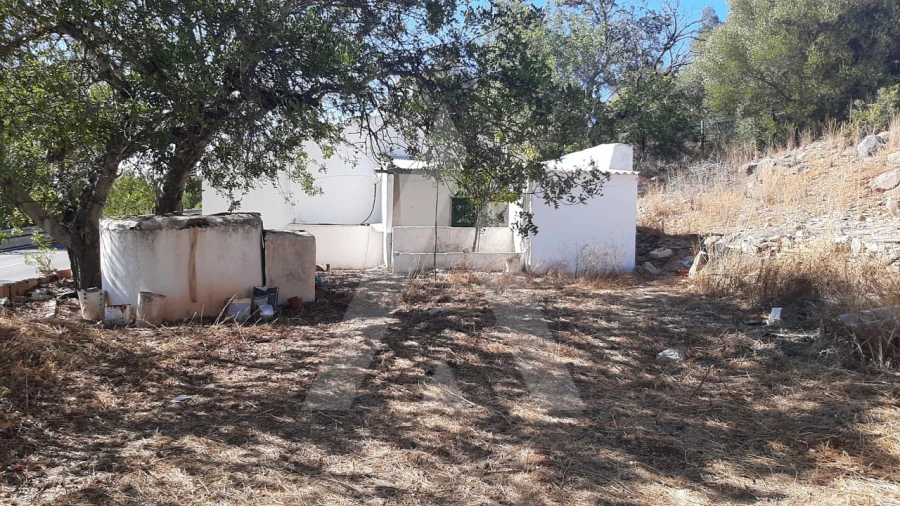 Terreno Misto para Venda em Santa Barbara de Nexe Foto 3