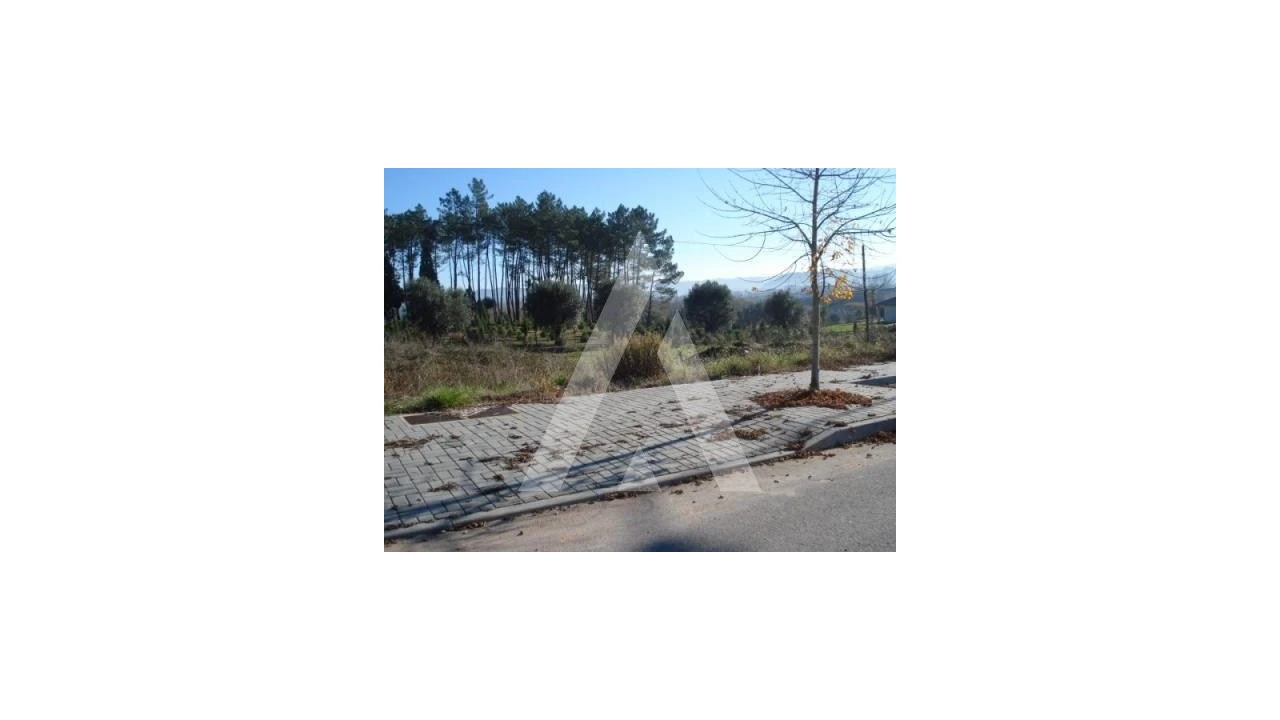Terreno para Venda em Valongo do Vouga Foto 1