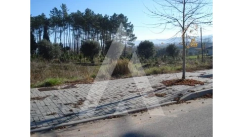 Terreno para Venda em Valongo do Vouga