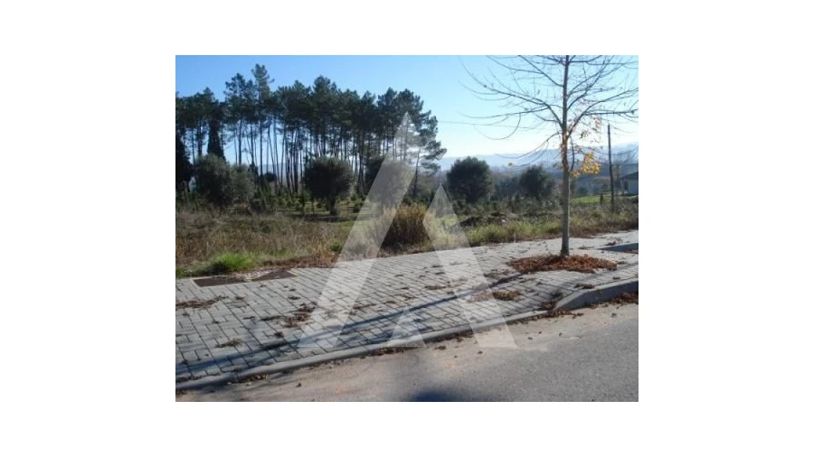 Terreno para Venda em Valongo do Vouga