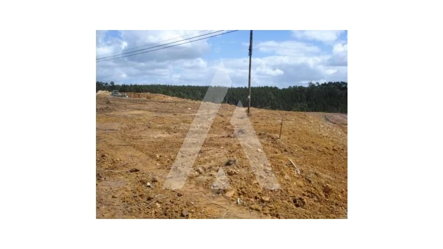 Terreno para Venda em Valongo do Vouga Foto 4