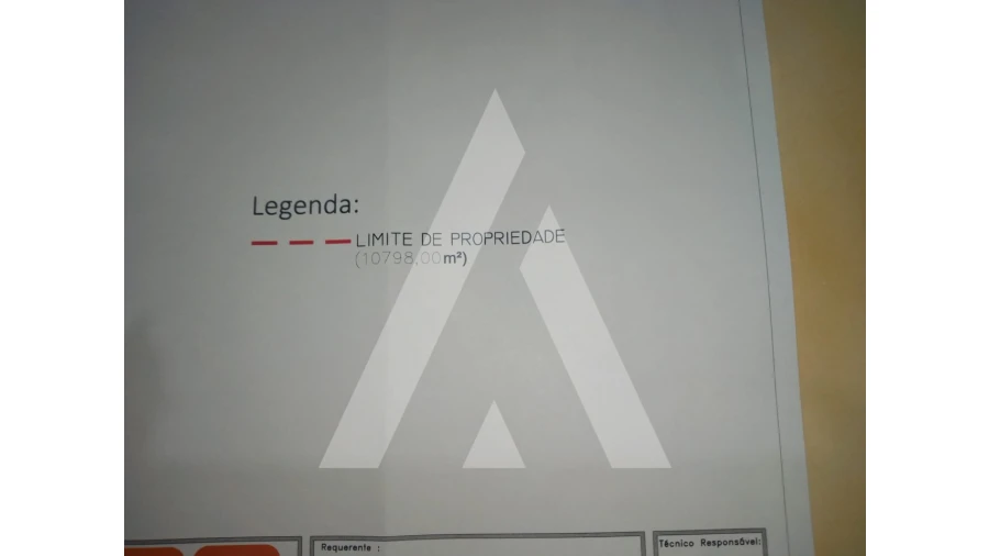 Terreno para Venda em Bustos, Troviscal e Mamarrosa Foto 4