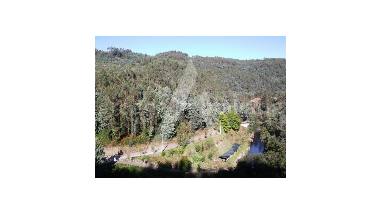 Terreno para Venda em Belazaima do Chão, Castanheira do Vouga e Agadão Foto 1