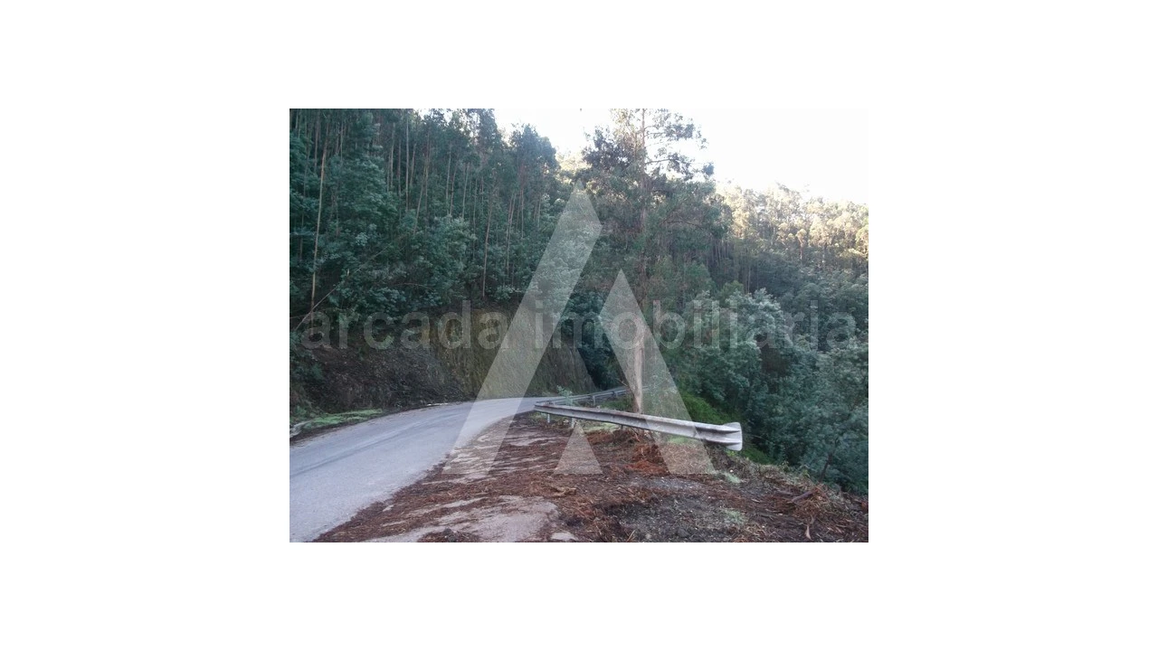 Terreno para Venda em Belazaima do Chão, Castanheira do Vouga e Agadão Foto 3