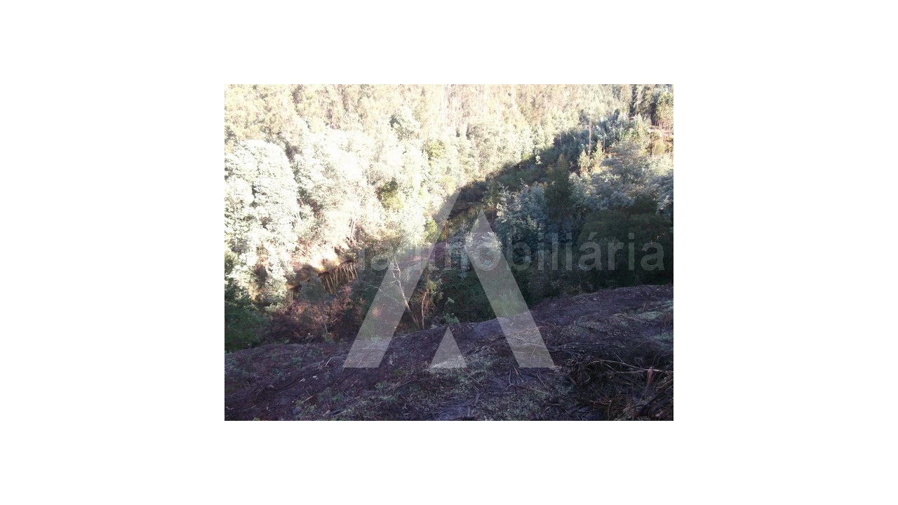 Terreno para Venda em Belazaima do Chão, Castanheira do Vouga e Agadão Foto 4