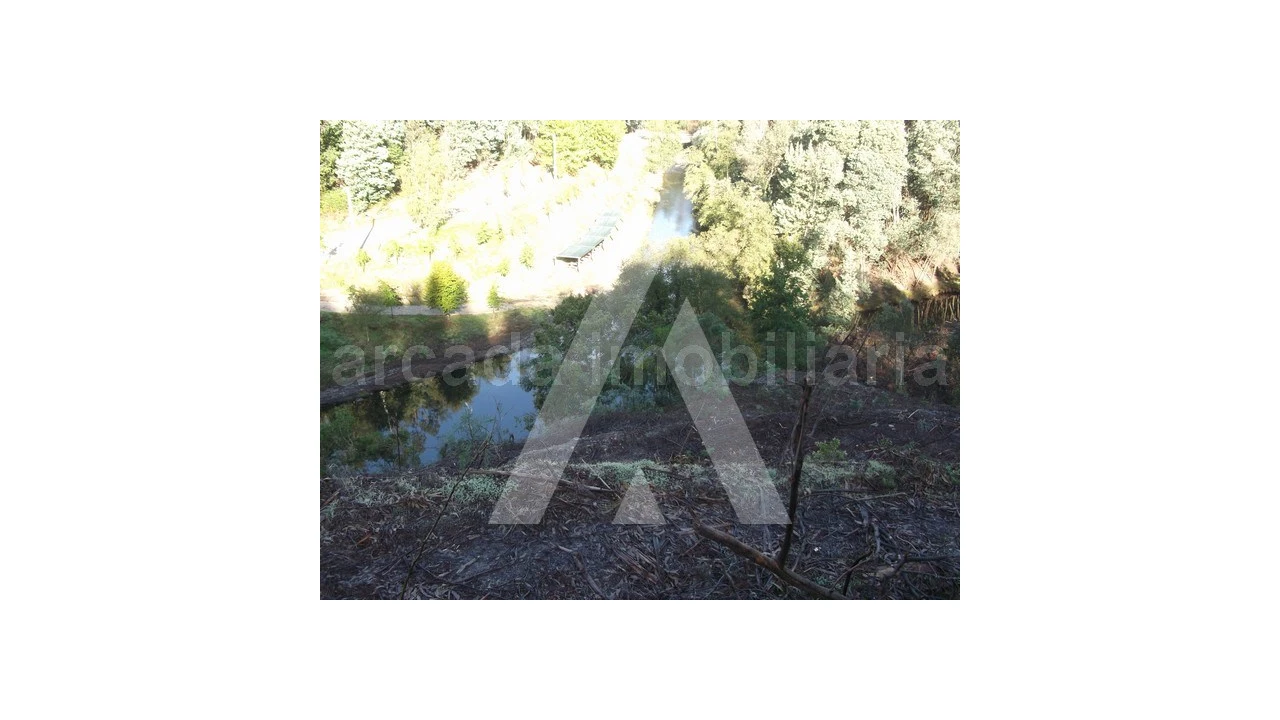 Terreno para Venda em Belazaima do Chão, Castanheira do Vouga e Agadão Foto 5