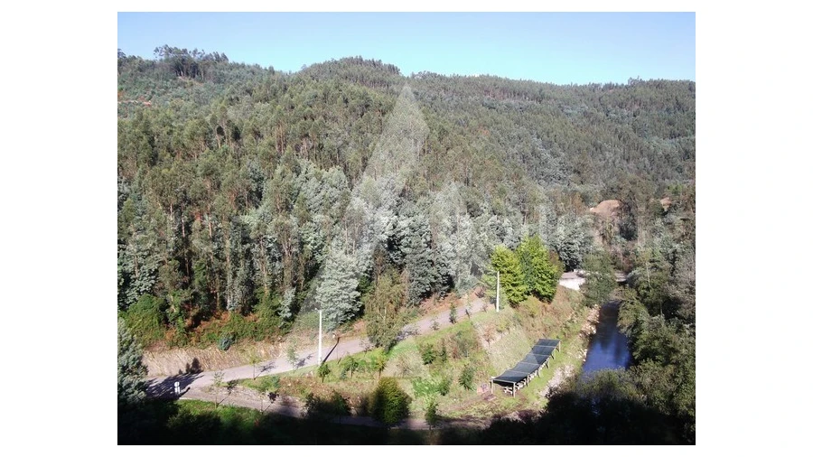 Terreno para Venda em Belazaima do Chão, Castanheira do Vouga e Agadão Foto 1