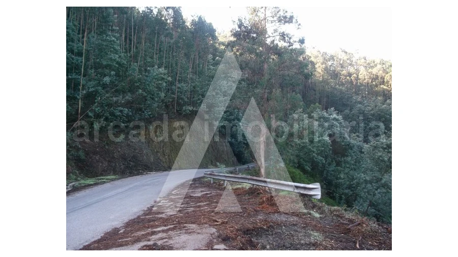 Terreno para Venda em Belazaima do Chão, Castanheira do Vouga e Agadão Foto 3