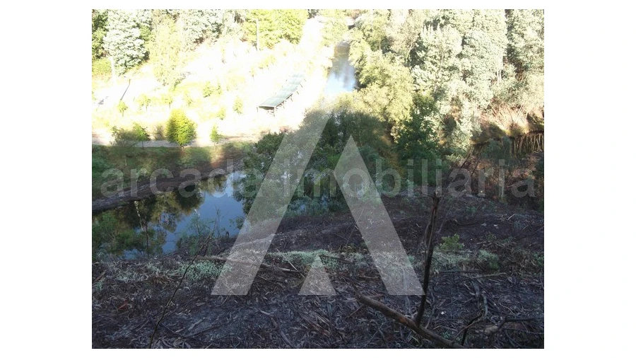 Terreno para Venda em Belazaima do Chão, Castanheira do Vouga e Agadão Foto 5