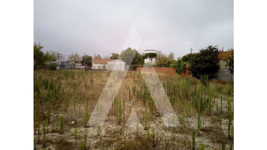 Terreno para Venda em Gafanha da Nazaré Foto 2