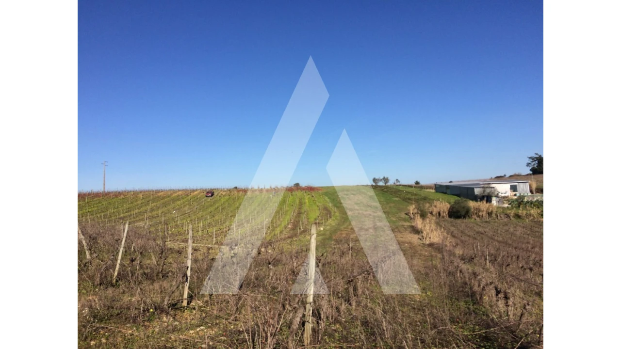 Terreno para Venda em São Lourenço do Bairro Foto 1