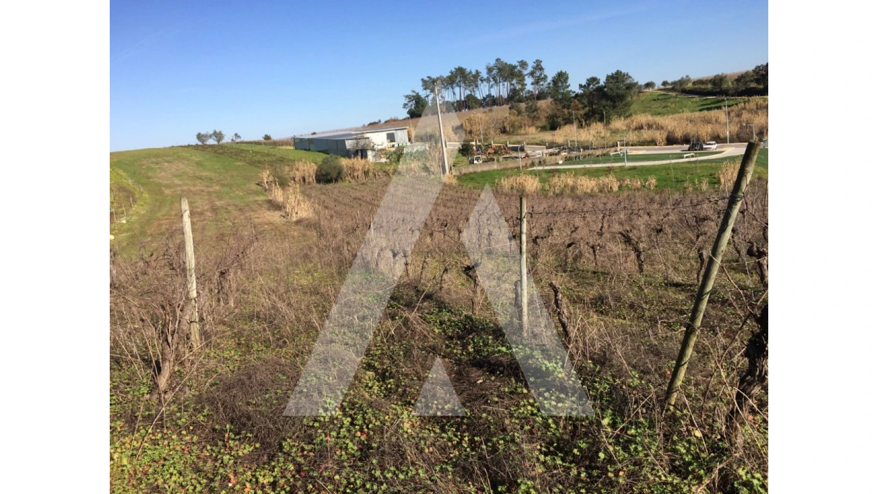 Terreno para Venda em São Lourenço do Bairro Foto 3