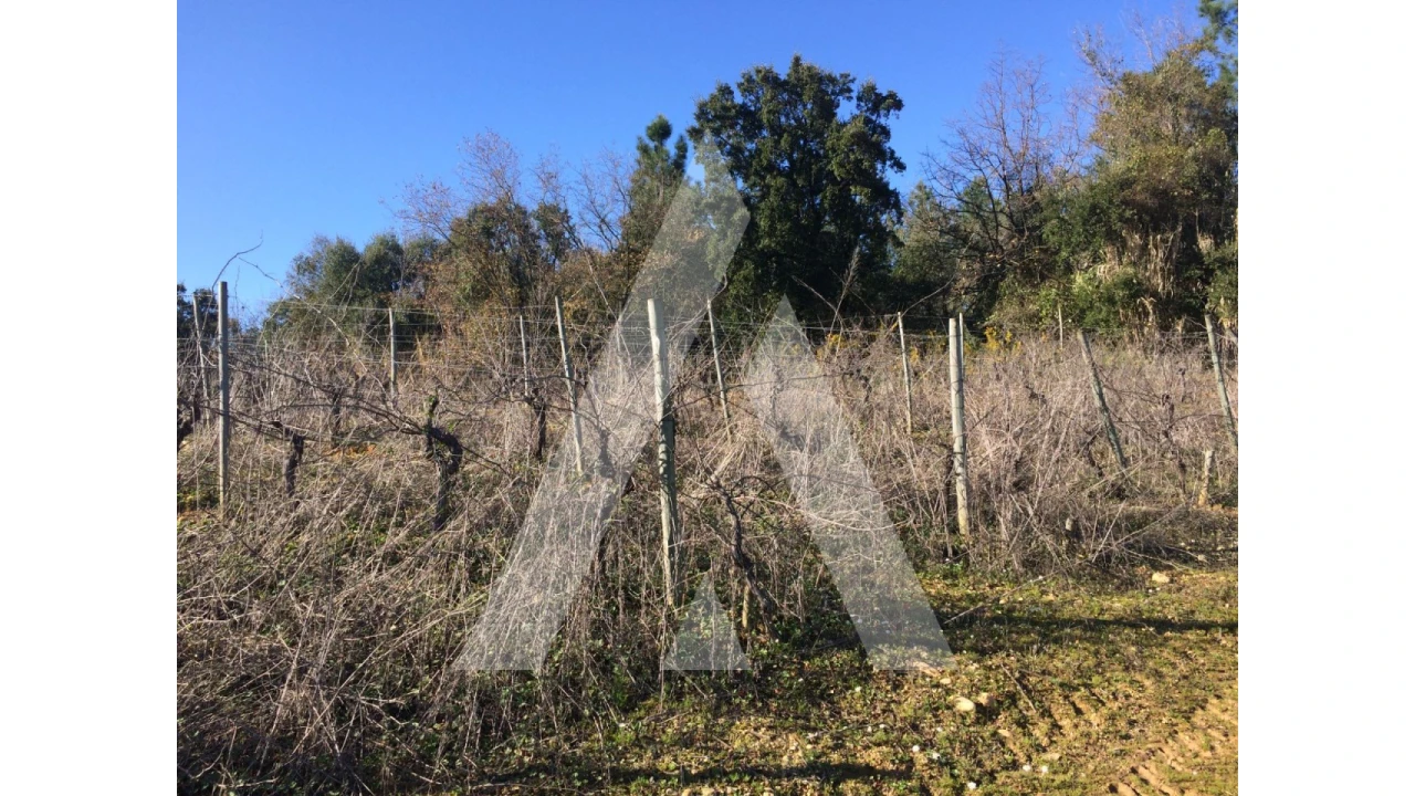 Terreno para Venda em São Lourenço do Bairro Foto 5