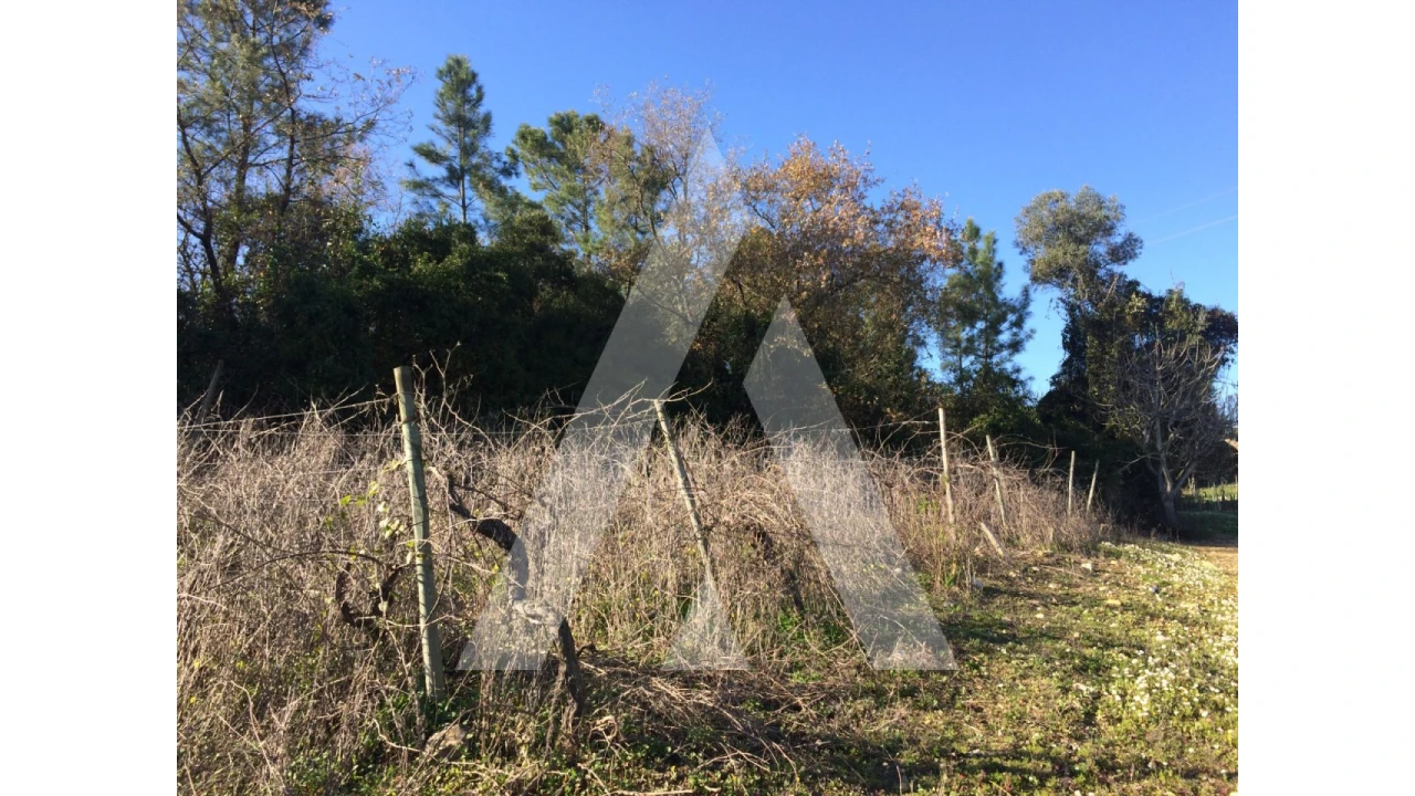 Terreno para Venda em São Lourenço do Bairro Foto 6