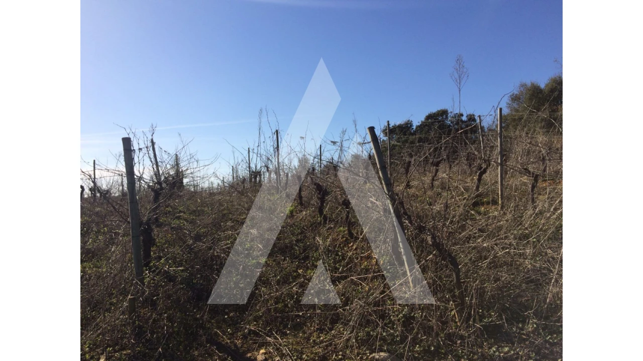 Terreno para Venda em São Lourenço do Bairro Foto 9