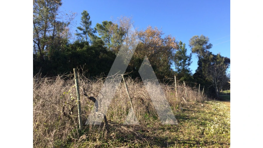 Terreno para Venda em São Lourenço do Bairro Foto 6