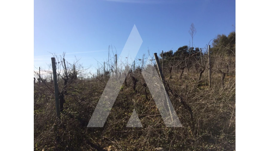 Terreno para Venda em São Lourenço do Bairro Foto 9