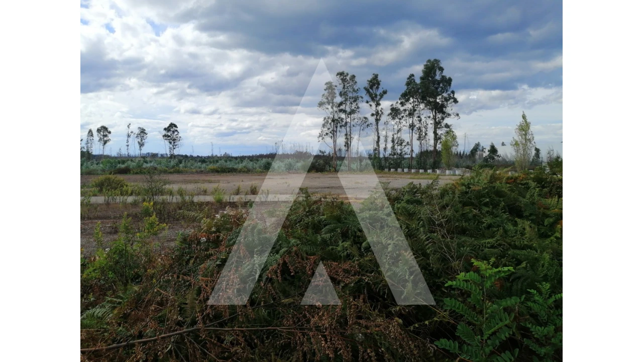 Terreno para Venda em Macinhata do Vouga Foto 2