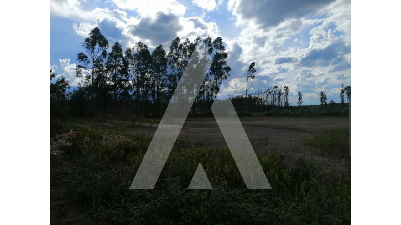 Terreno para Venda em Macinhata do Vouga Foto 4