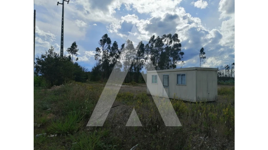 Terreno para Venda em Macinhata do Vouga Foto 7