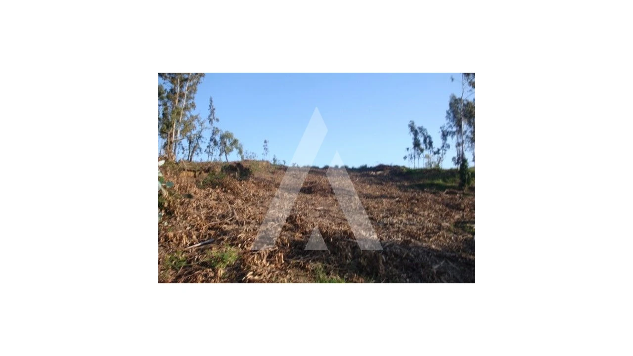 Terreno para Venda em Aguada de Cima Foto 2