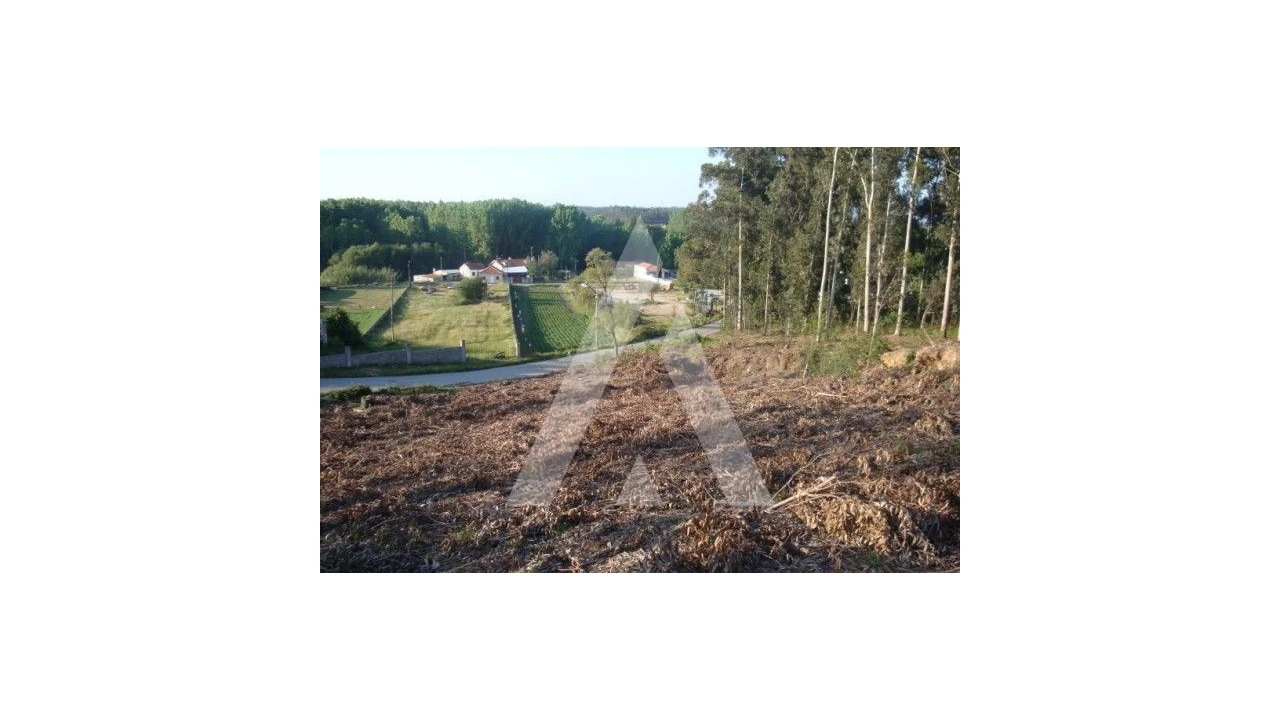 Terreno para Venda em Aguada de Cima Foto 4