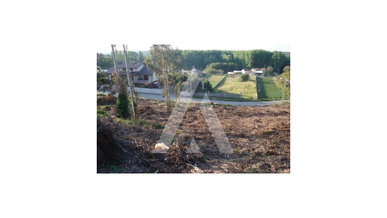 Terreno para Venda em Aguada de Cima Foto 1