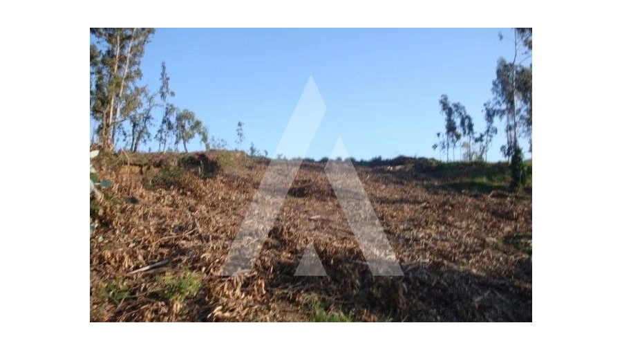 Terreno para Venda em Aguada de Cima Foto 2