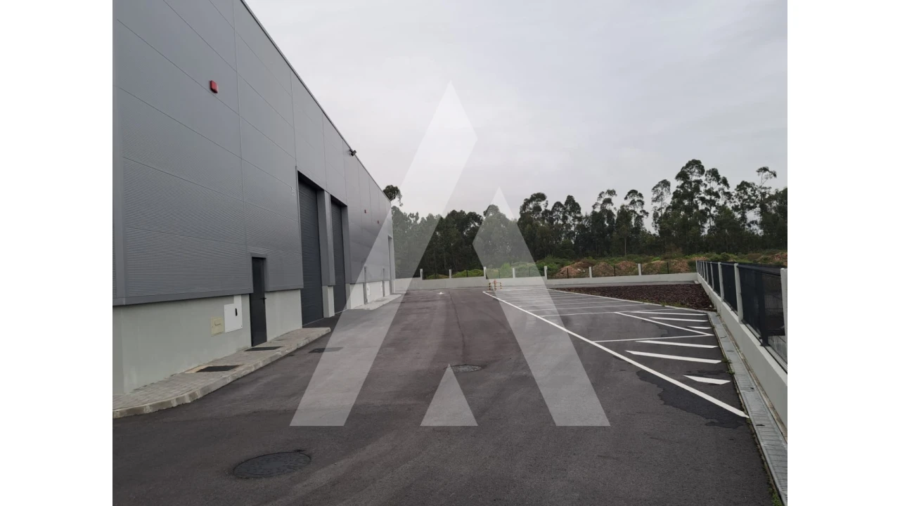 Armazém para Arrendamento em Cacia Foto 3