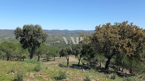 Terreno para Venda em São Bartolomeu de Messines