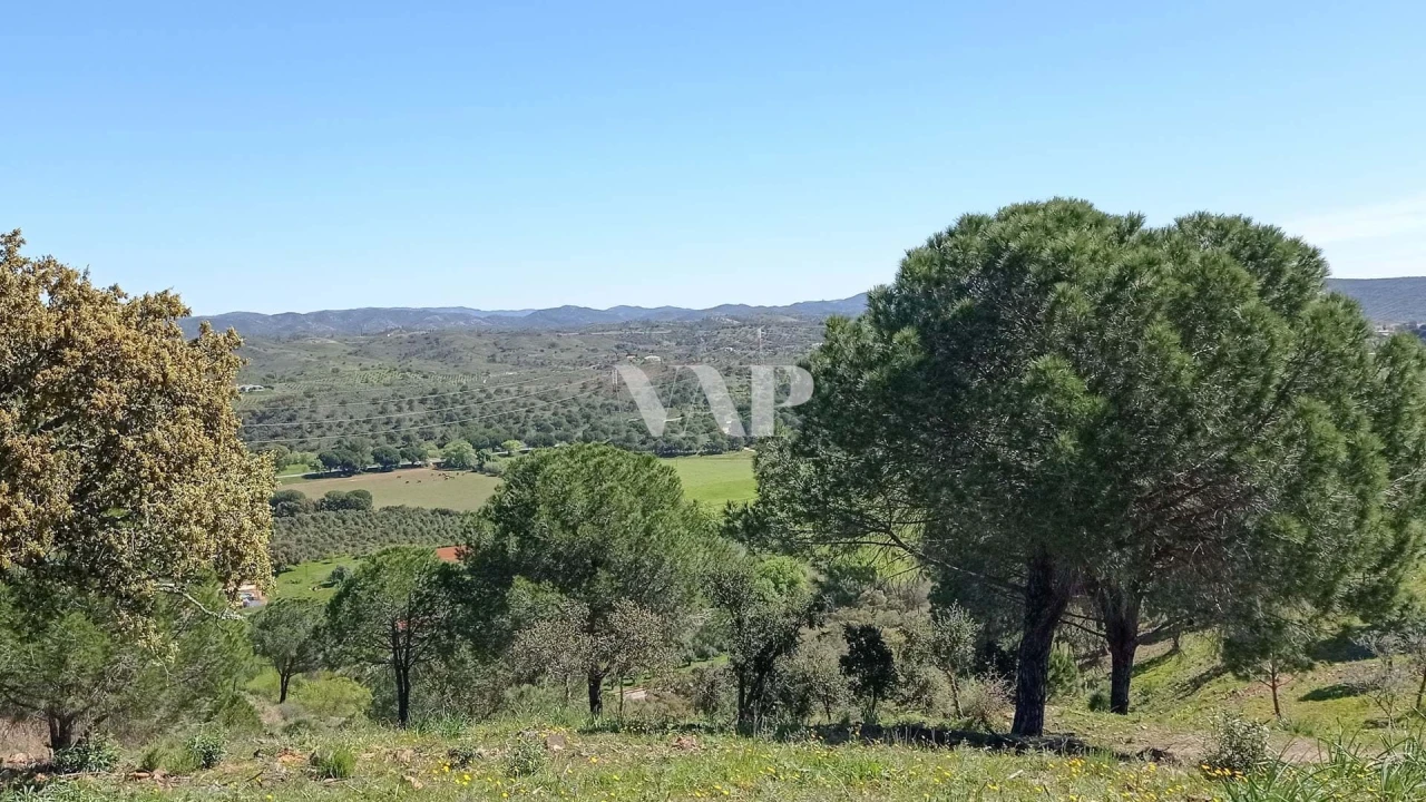 Terreno para Venda em São Bartolomeu de Messines Foto 12