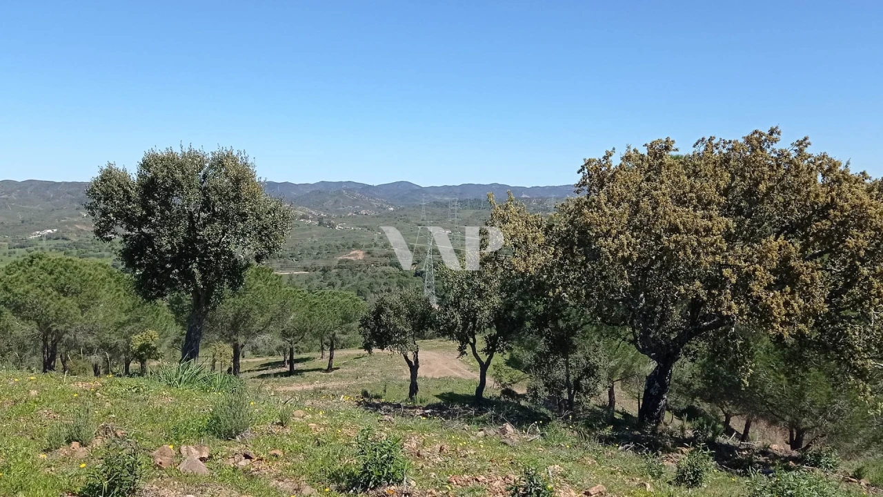 Terreno para Venda em São Bartolomeu de Messines Foto 10