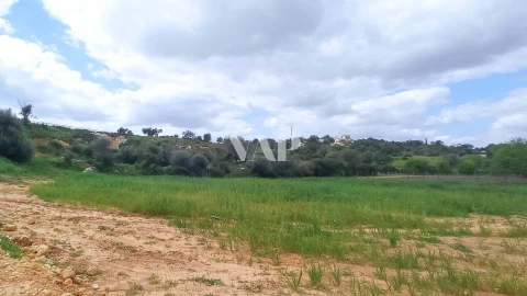 Terreno para Venda em Guia