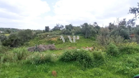 Terreno para Venda em Guia
