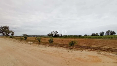 Terreno para Venda em Guia