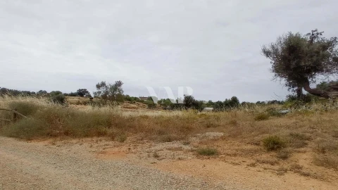 Terreno para Venda em Guia