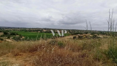 Terreno para Venda em Guia