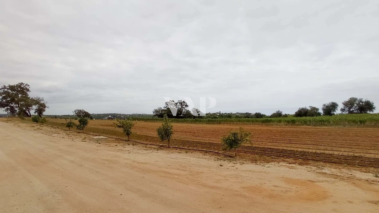 Terreno para Venda em Guia Foto 14