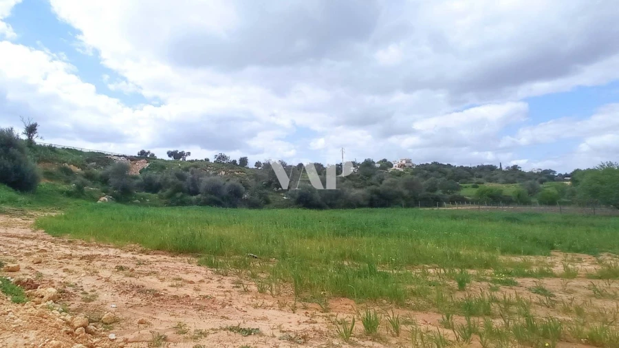 Terreno para Venda em Guia Foto 16