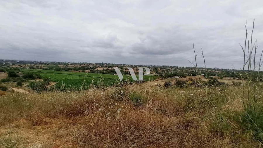 Terreno para Venda em Guia Foto 19