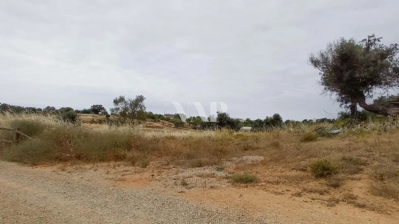 Terreno para Venda em Guia Foto 15