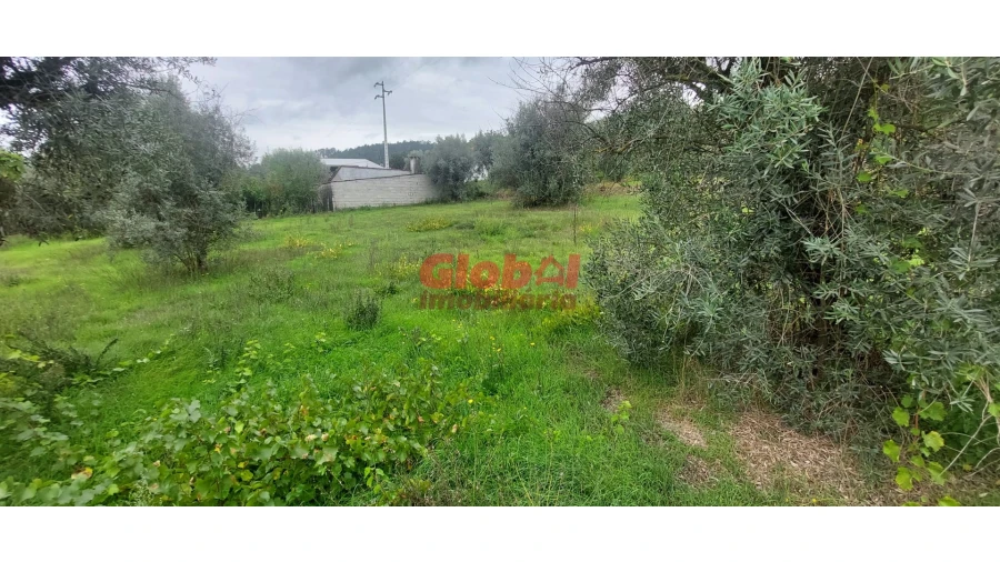 Terreno para Venda em Santos Evos Foto 2